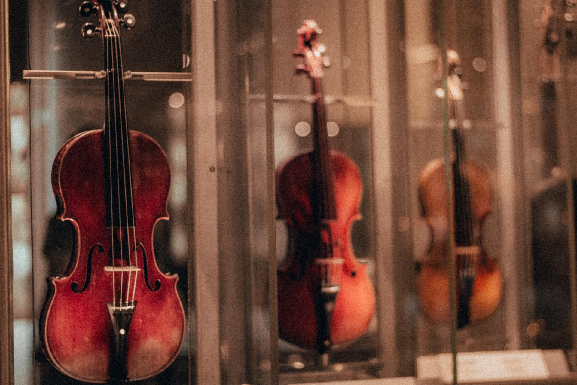 What To Expect During Your Electric Violin Lessons